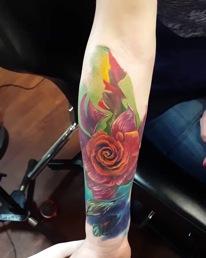 Flower, Rose