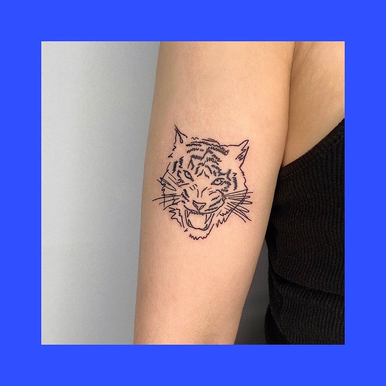 Tiger