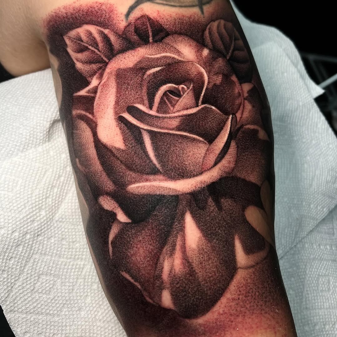 Flower, Rose