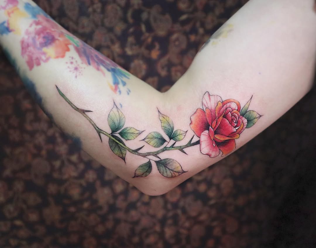 Flower, Rose