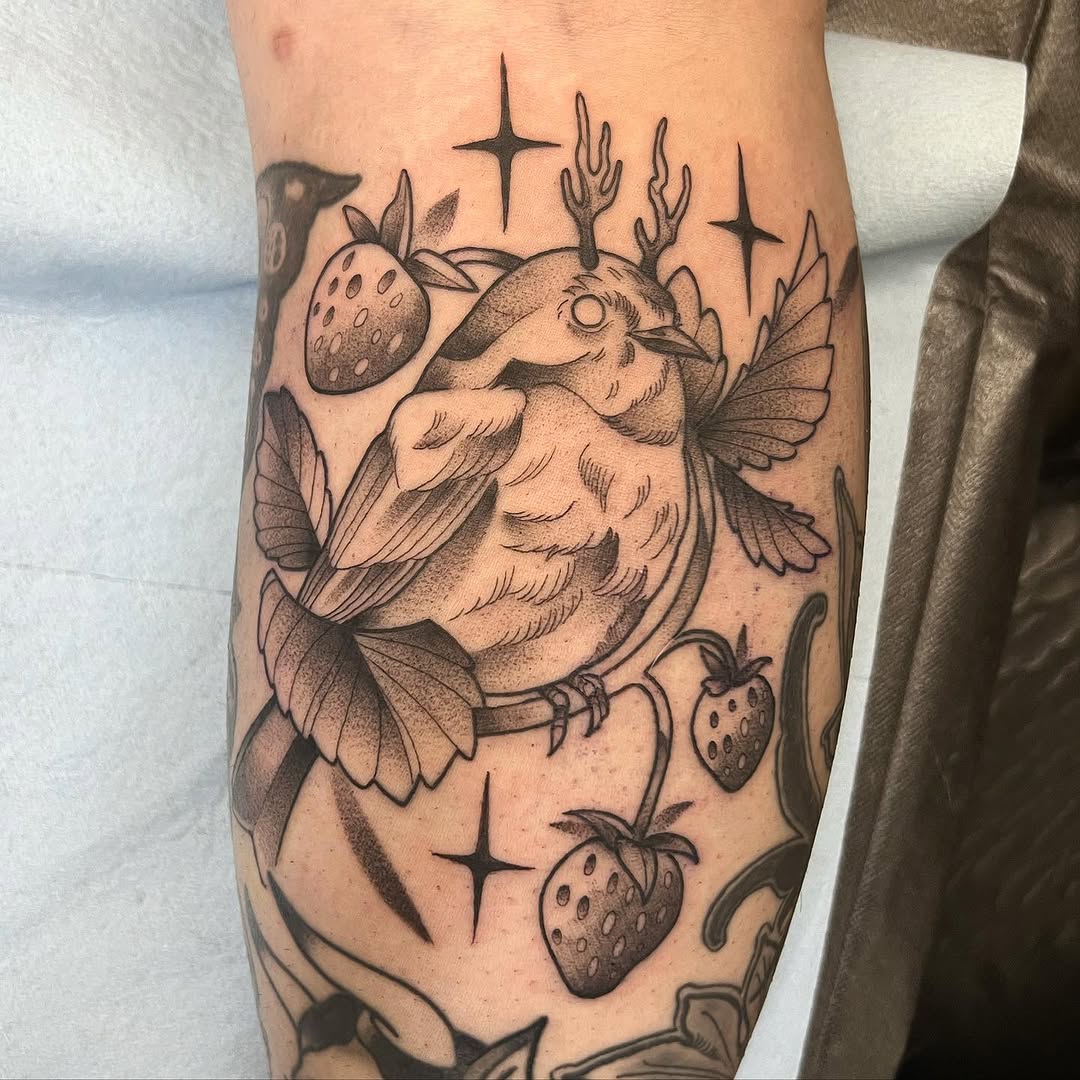 sarastigmata