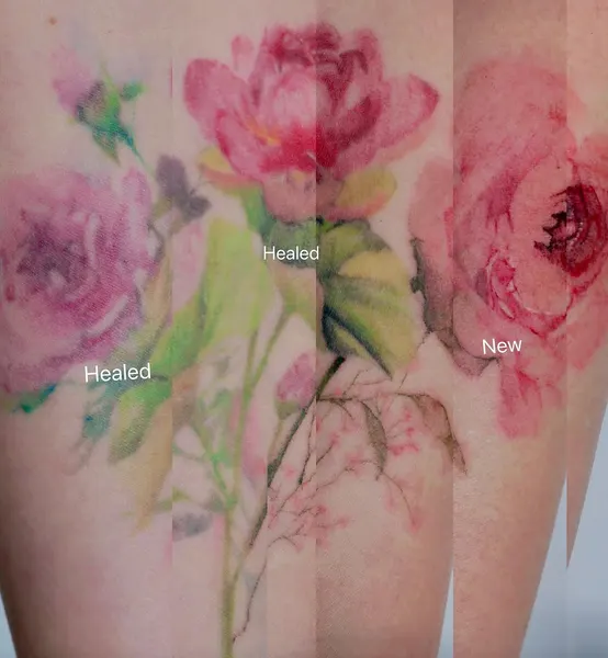 Flower, Rose