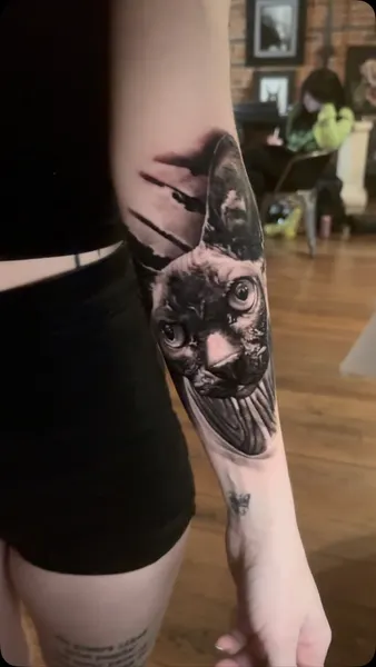 Animal