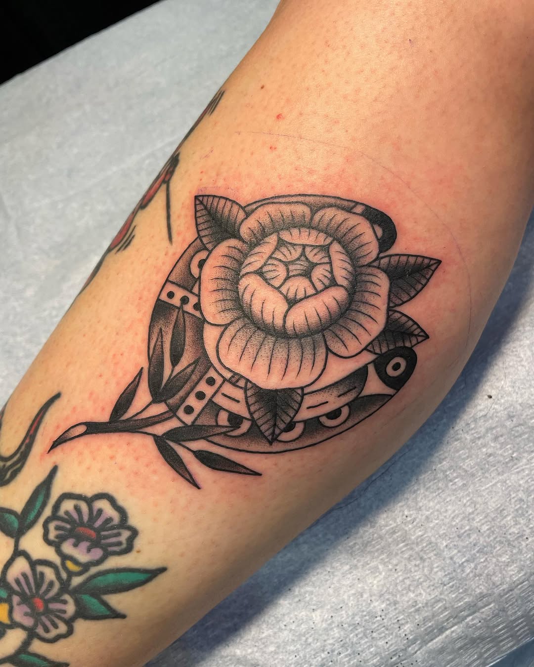 Flower, Rose