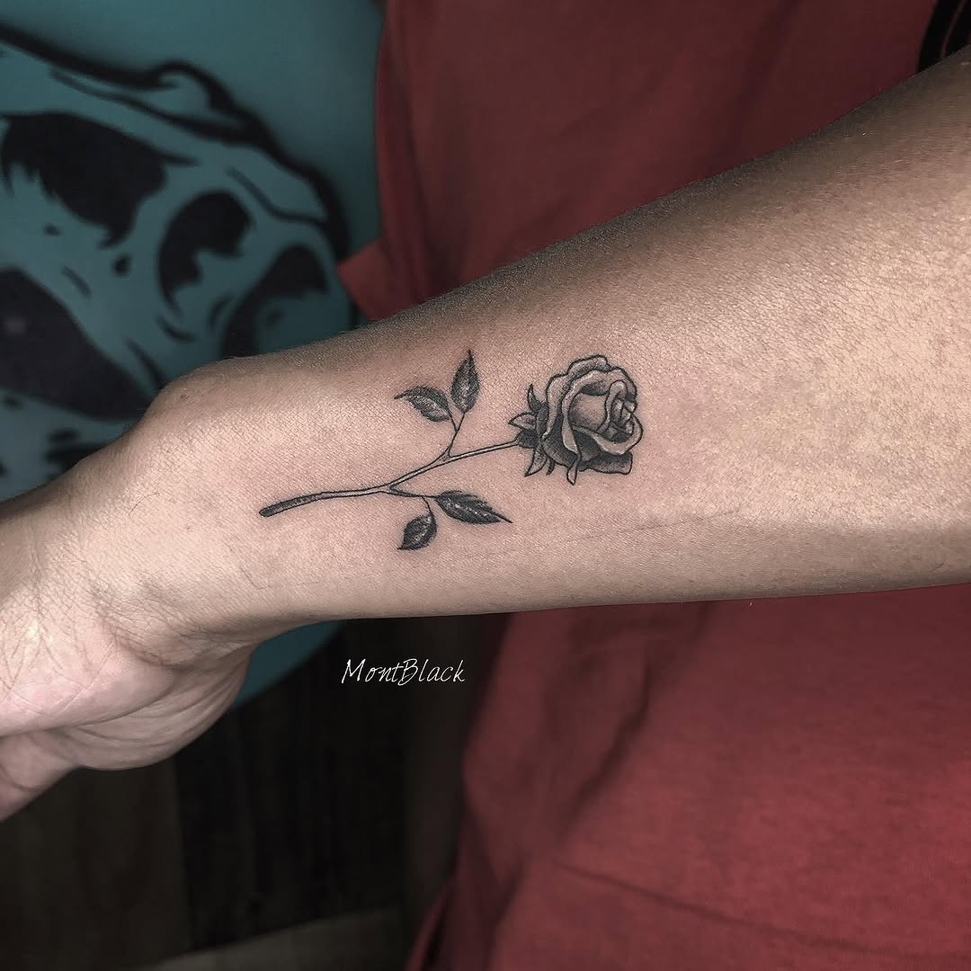 Flower, Rose