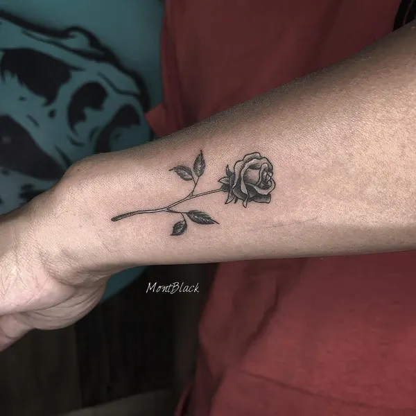 Flower, Rose