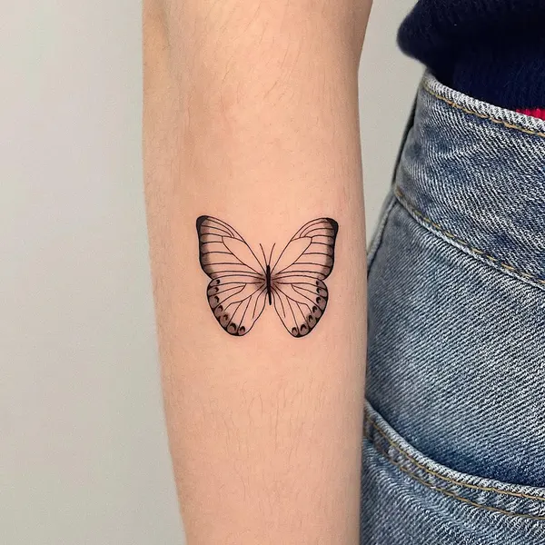 Animal, Nature