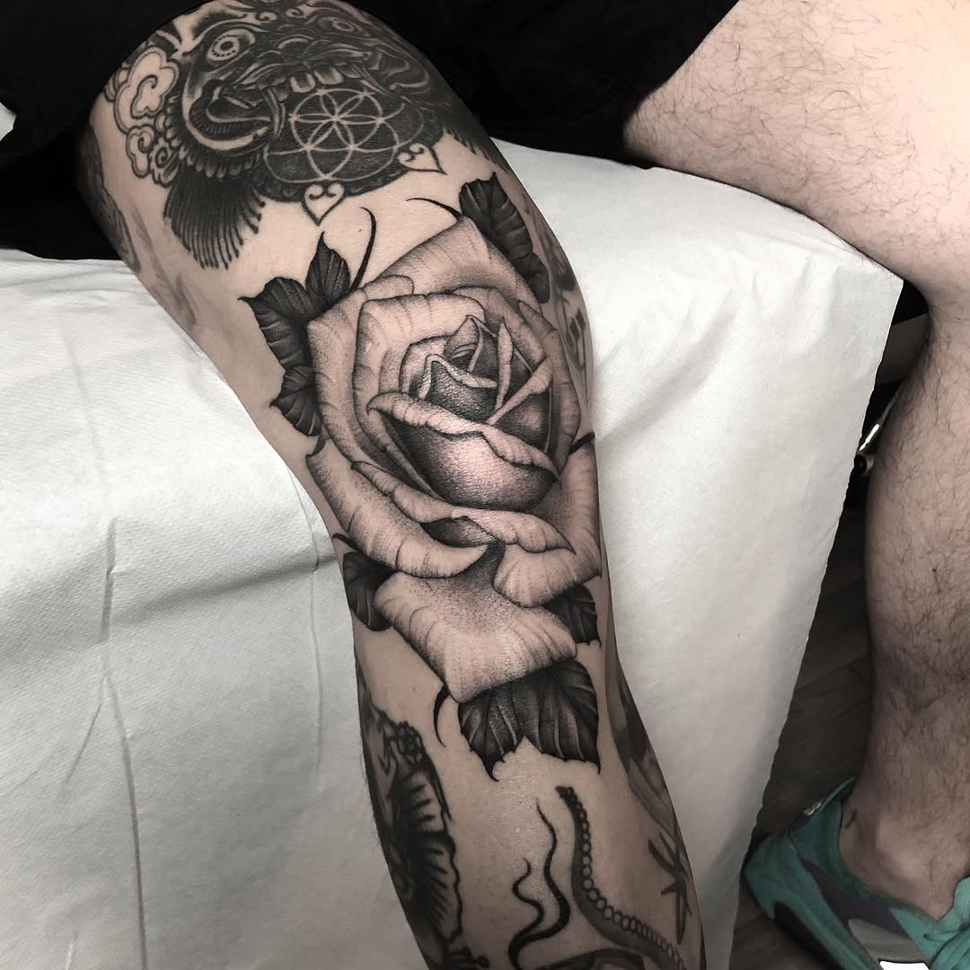 Flower, Rose