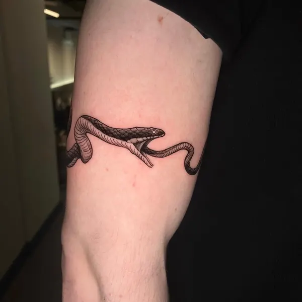 Dragon, 지네, 체인, Snake, 가시철사
