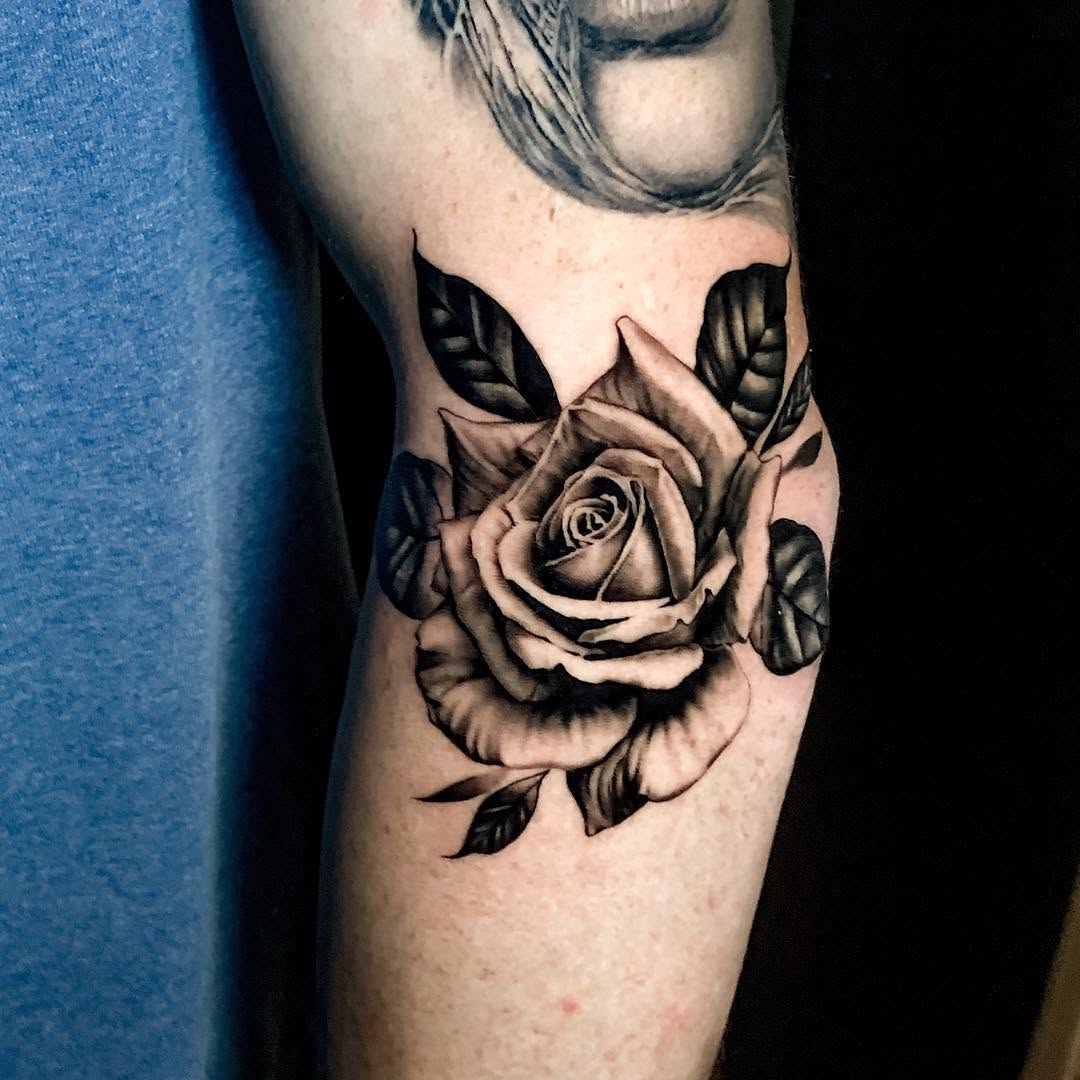 Flower, Rose