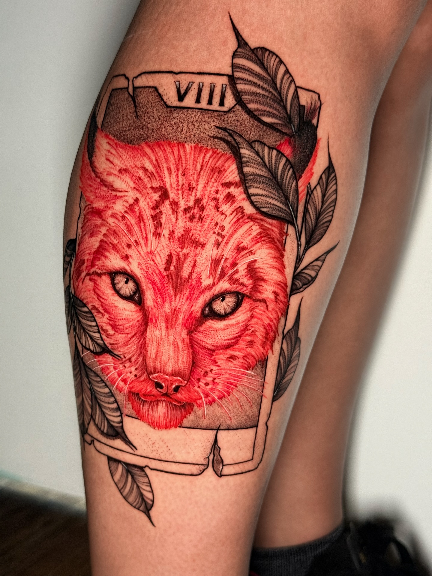 Animal