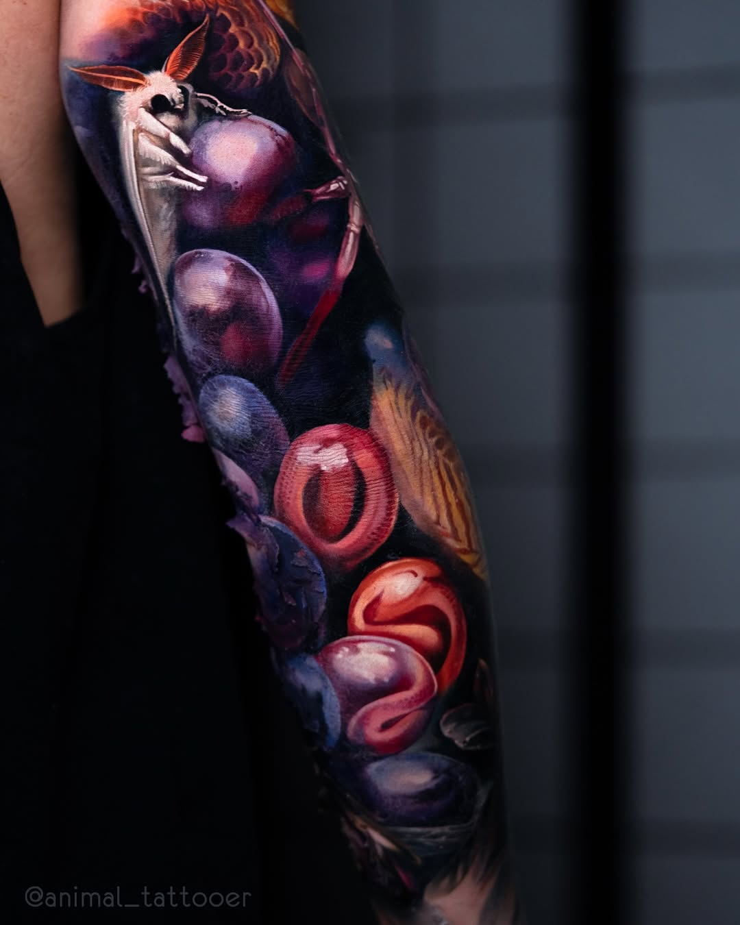 animal_tattooer