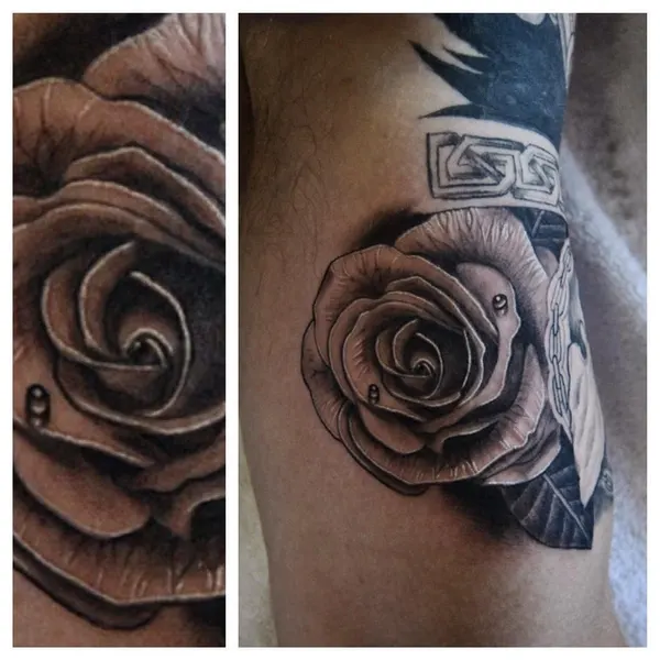 Flower, Rose
