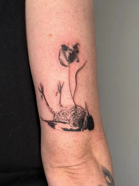 plantsnpokes