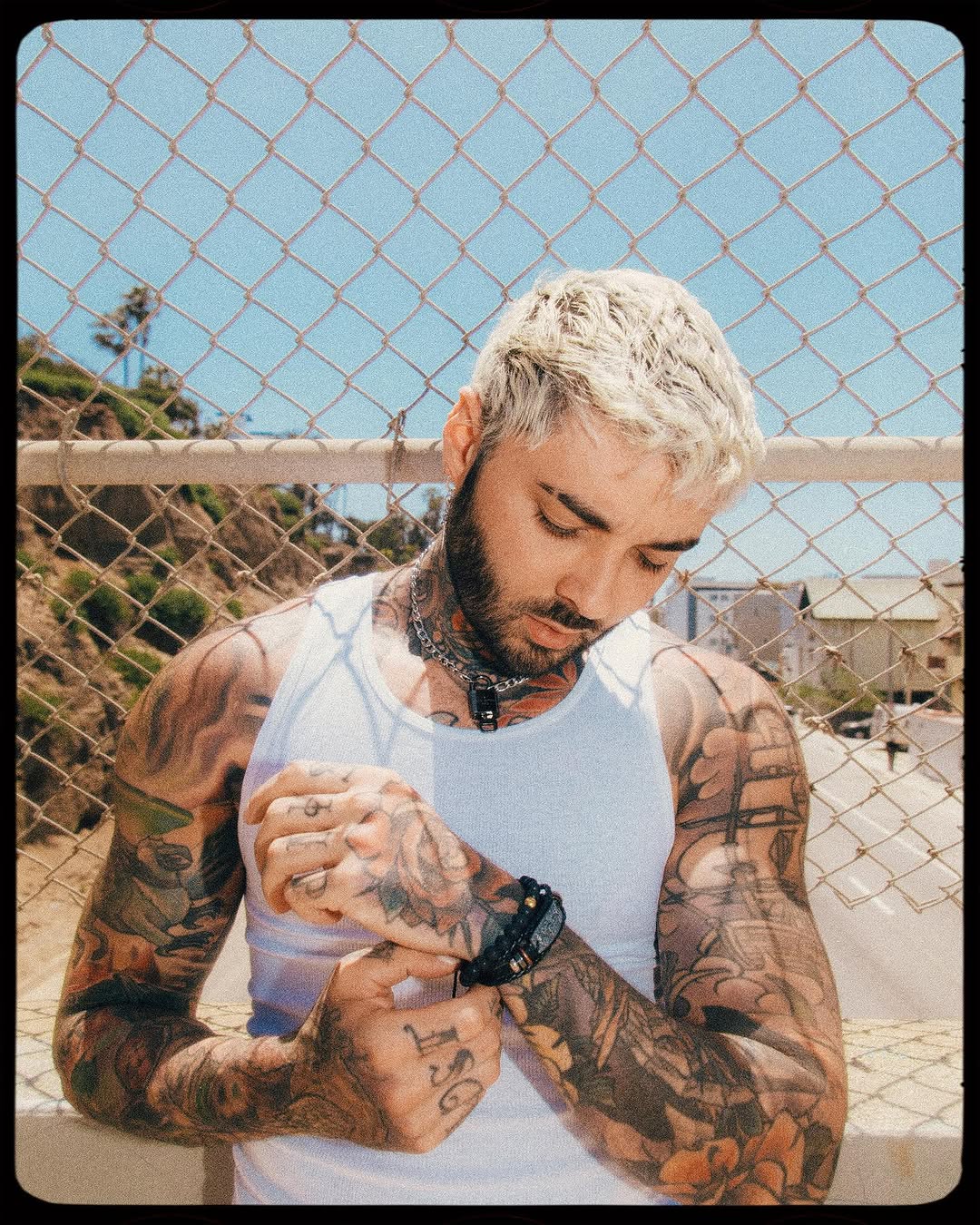romeolacoste