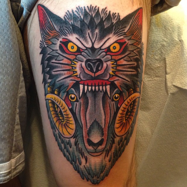 Tiger, Animal