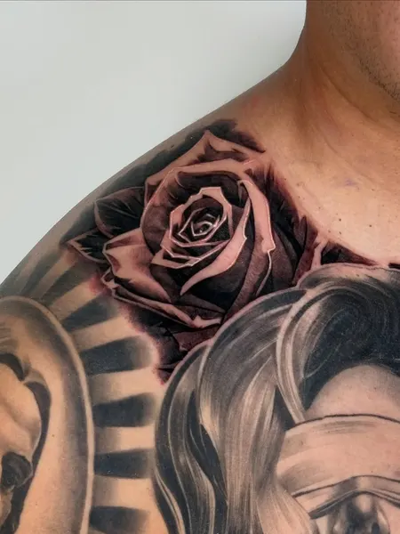 Flower, Rose, Nature