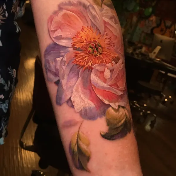 Flower, Rose