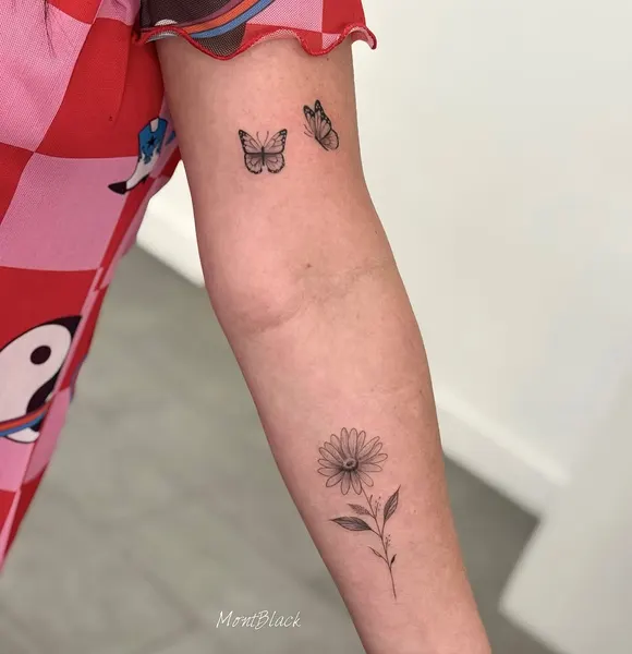 Flower, Rose, 민들레, 뿌리, 나뭇가지, Nature