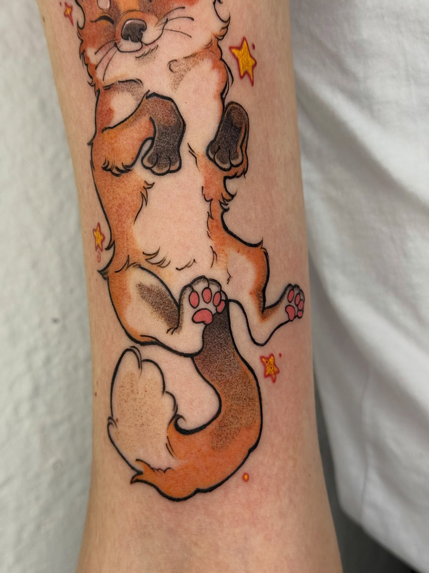 Animal, 여우