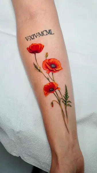 Flower, Rose, 양귀비