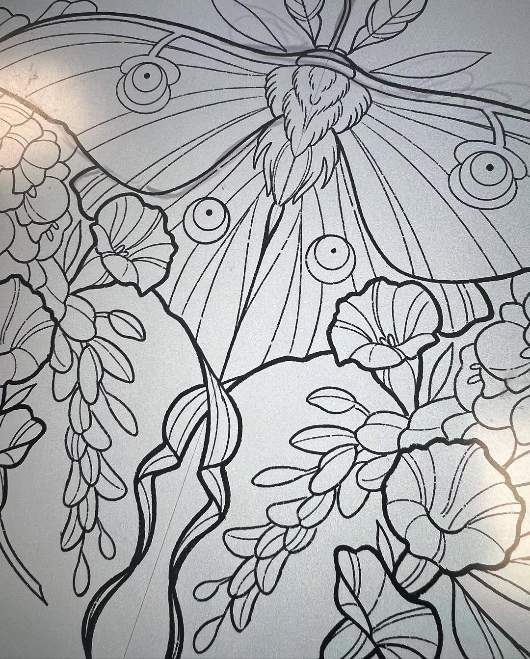 sarastigmata