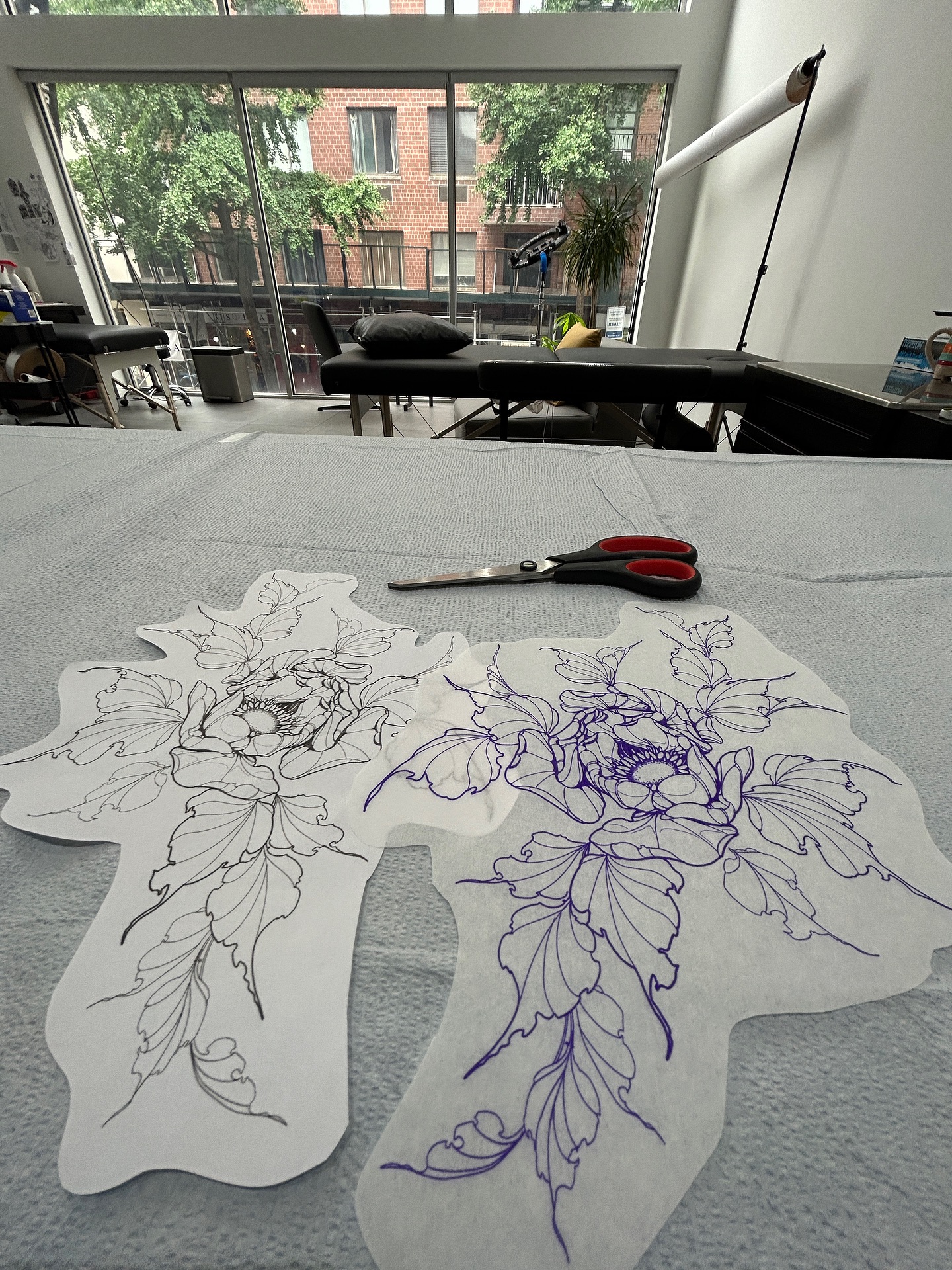 Flower, Rose, Nature