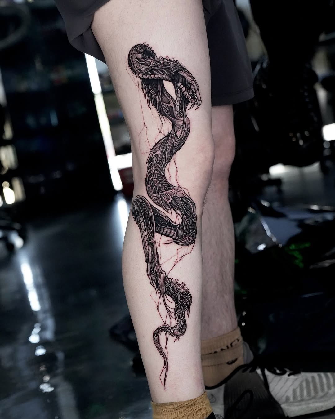 Dragon