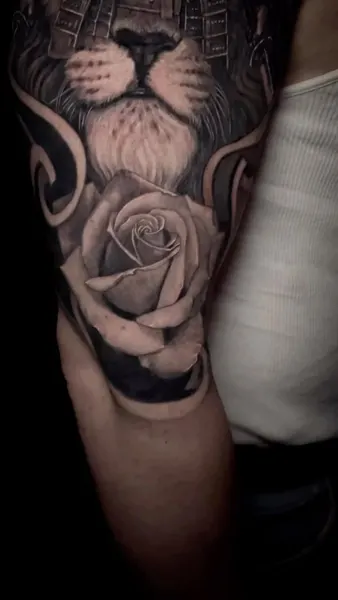 Flower, Rose