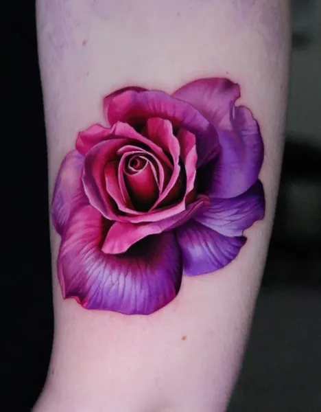 Flower, Rose