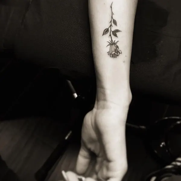 Flower, Rose