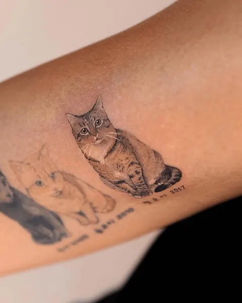 soltattoo