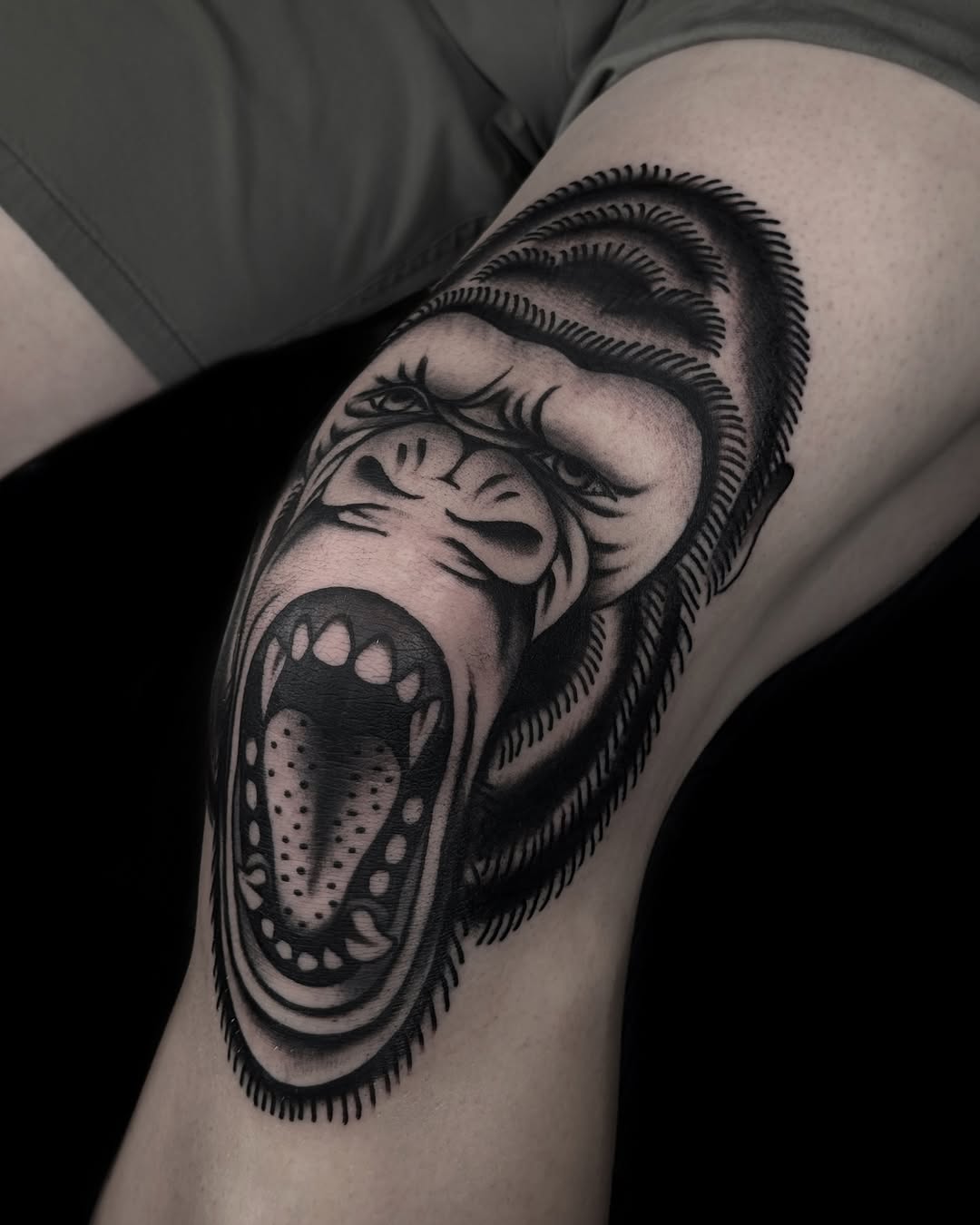 Tiger, Animal