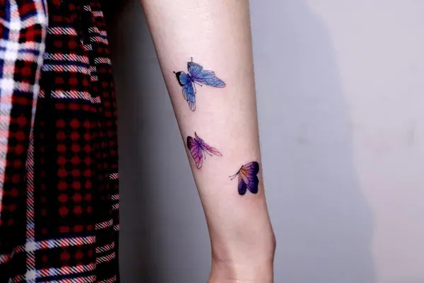 Animal, Nature, 라벤더, 요정, 잠자리