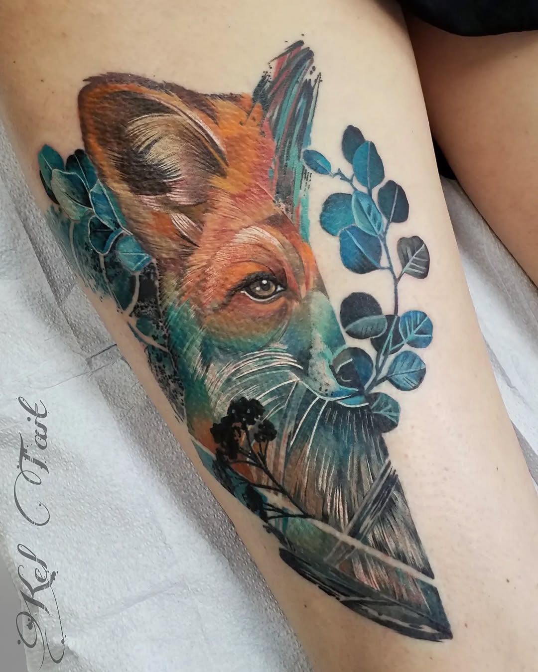 Animal, 여우