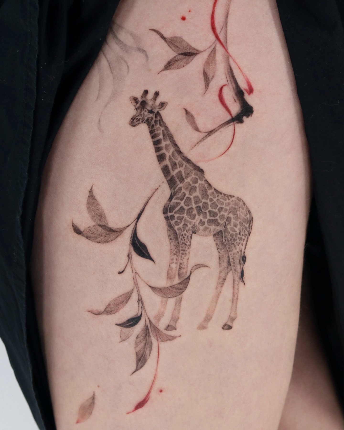 Animal