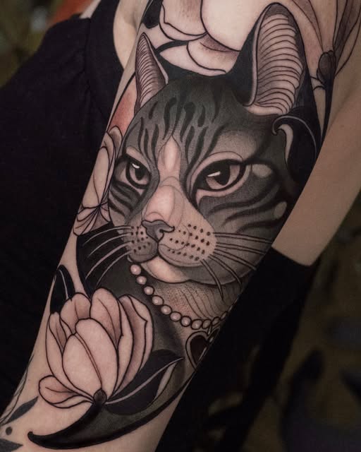 Animal