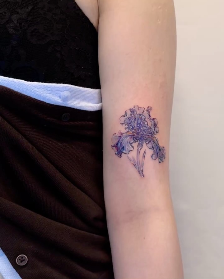 Flower, 아이리스, 난초