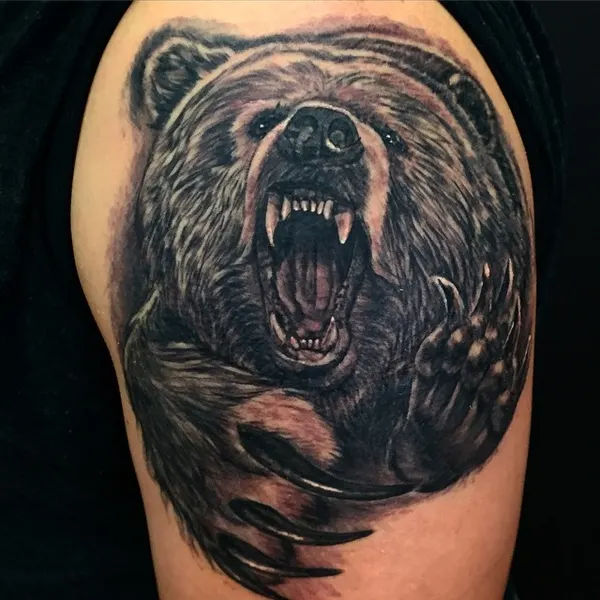 Animal