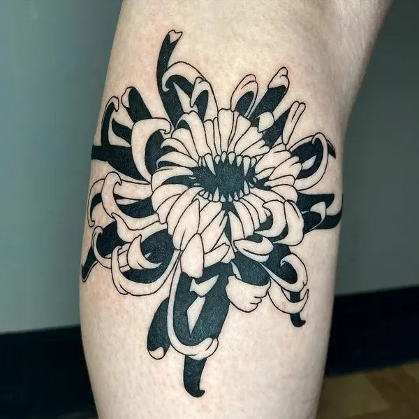 plantsnpokes