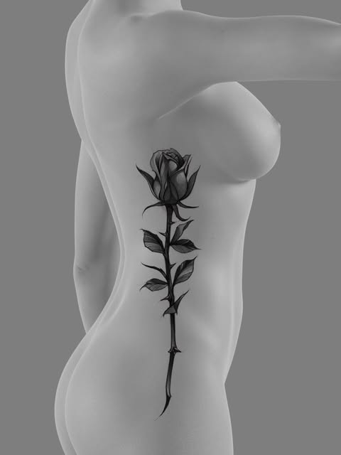 Flower, Rose