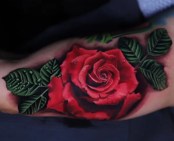 Flower, Rose
