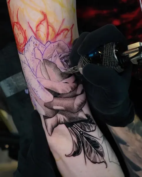 Flower, Rose