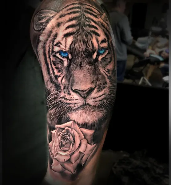 Tiger