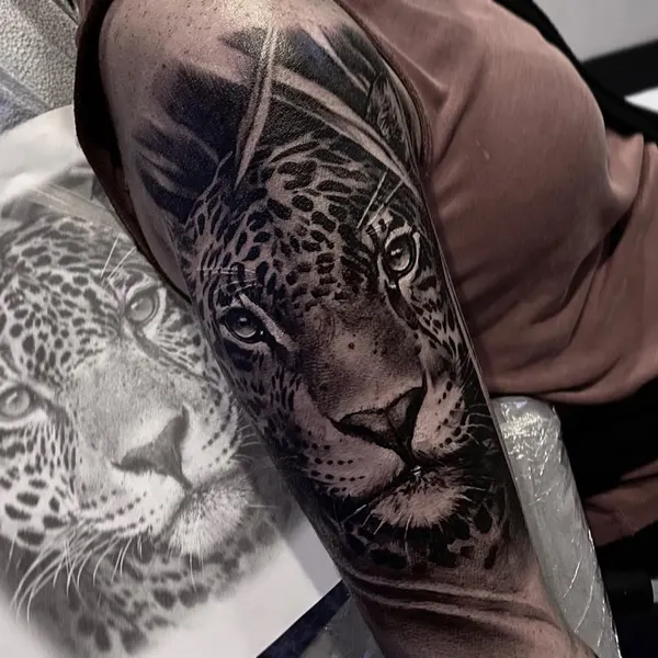 Animal
