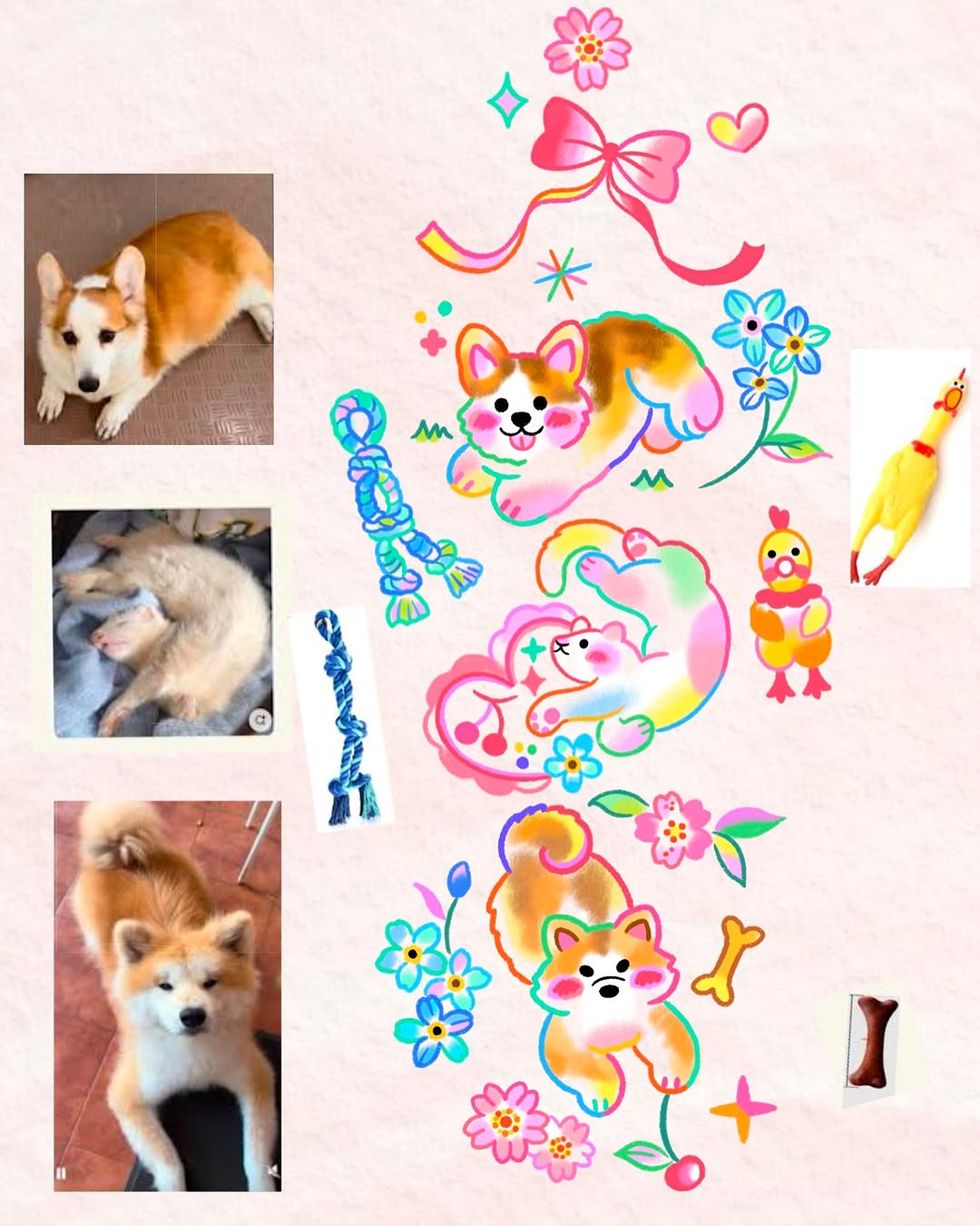 Animal
