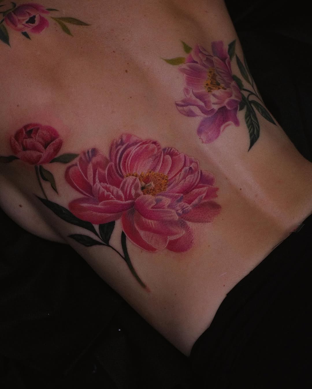 Flower, Nature, Rose