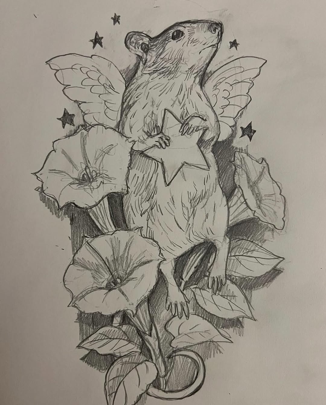 shawn_hebrank