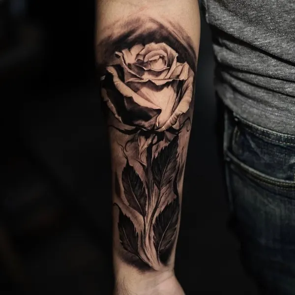 Flower, Rose