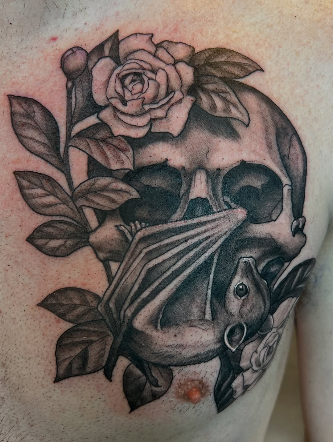 shawn_hebrank